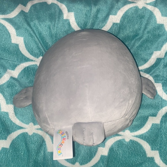 Baby seal squishmallow - Picture 2 of 2